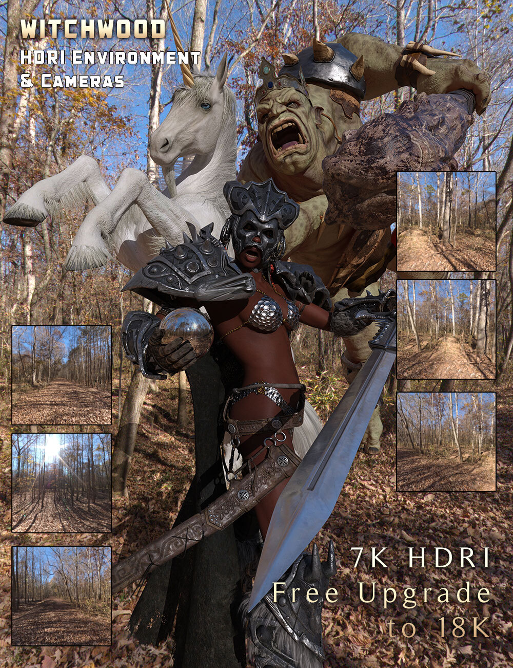 Witchwood HDRI & Cameras by N/A