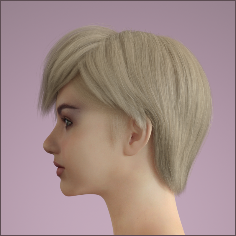 SN Hair for Genesis 8 and 8.1 Female by N/A