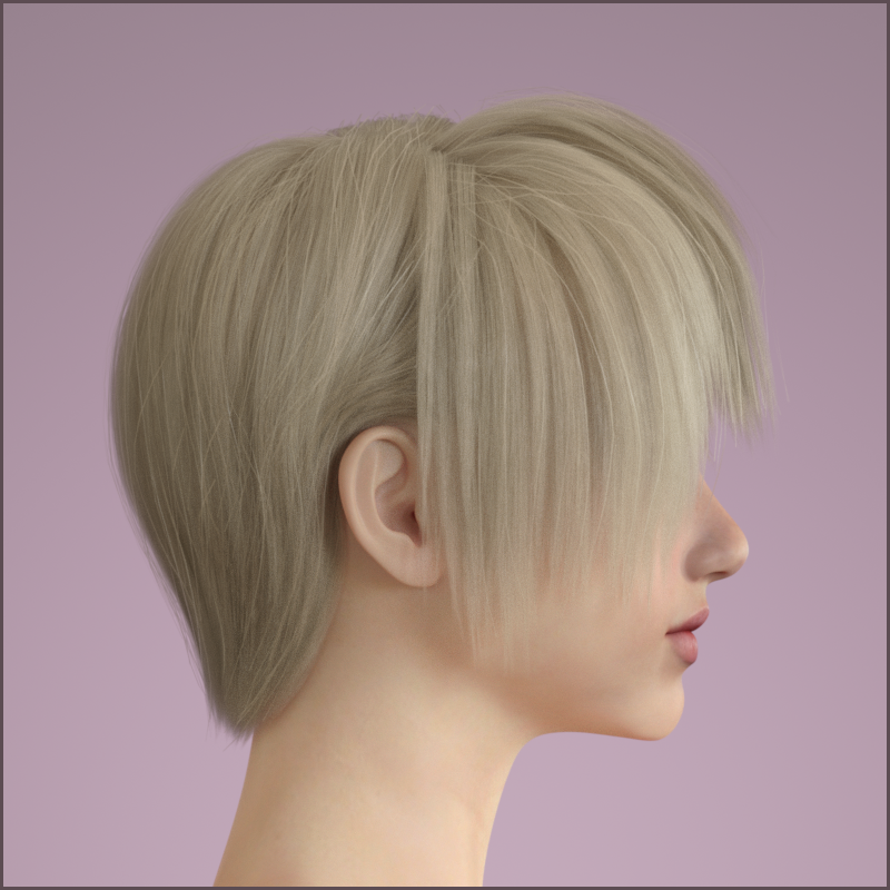 SN Hair for Genesis 8 and 8.1 Female by N/A