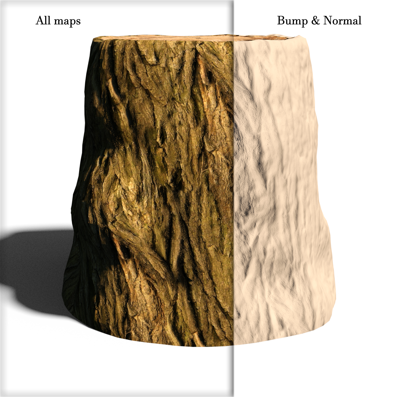 Tree Bark Shaders 2 For Daz Studio Iray by N/A