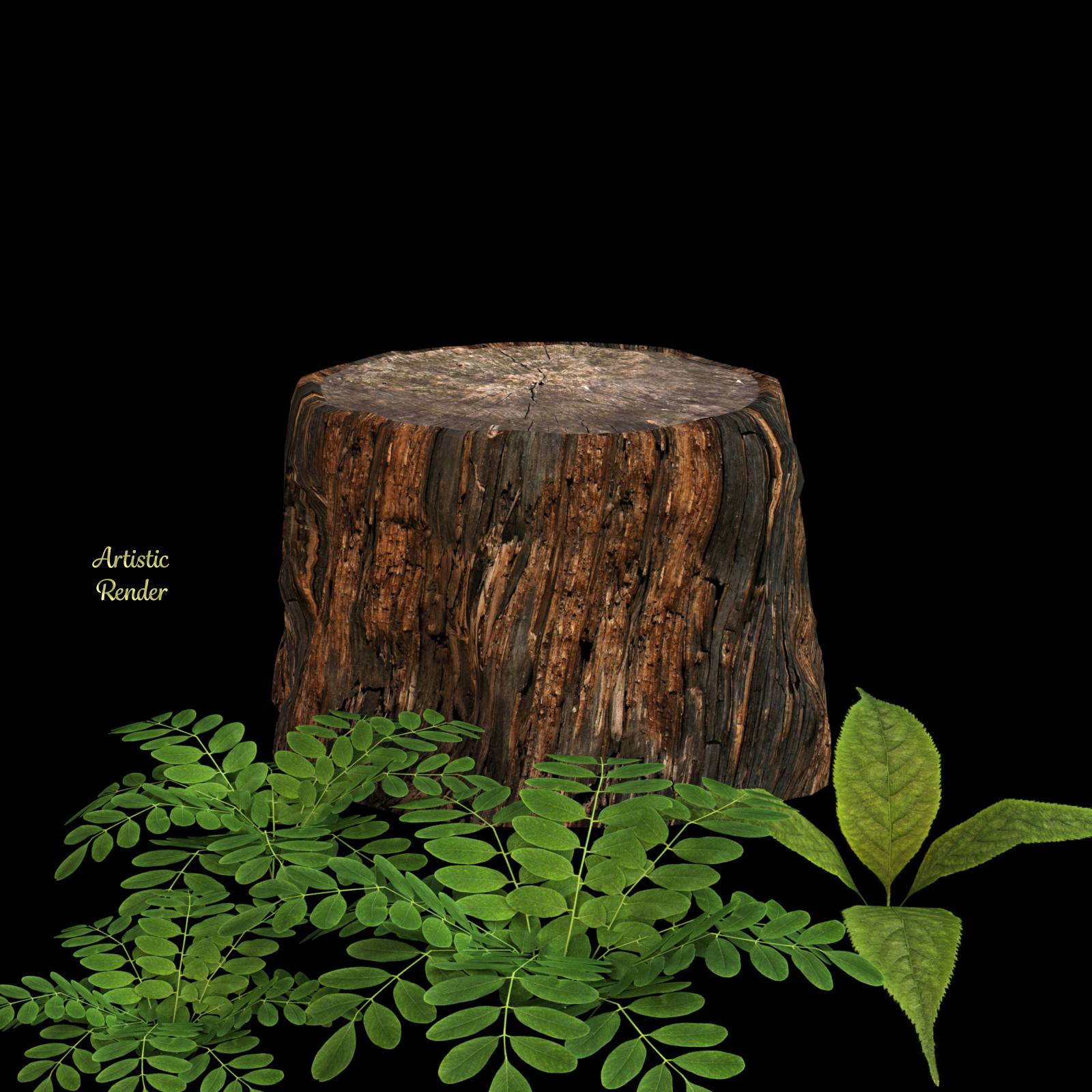 Tree Bark Shaders 2 For Daz Studio Iray by N/A
