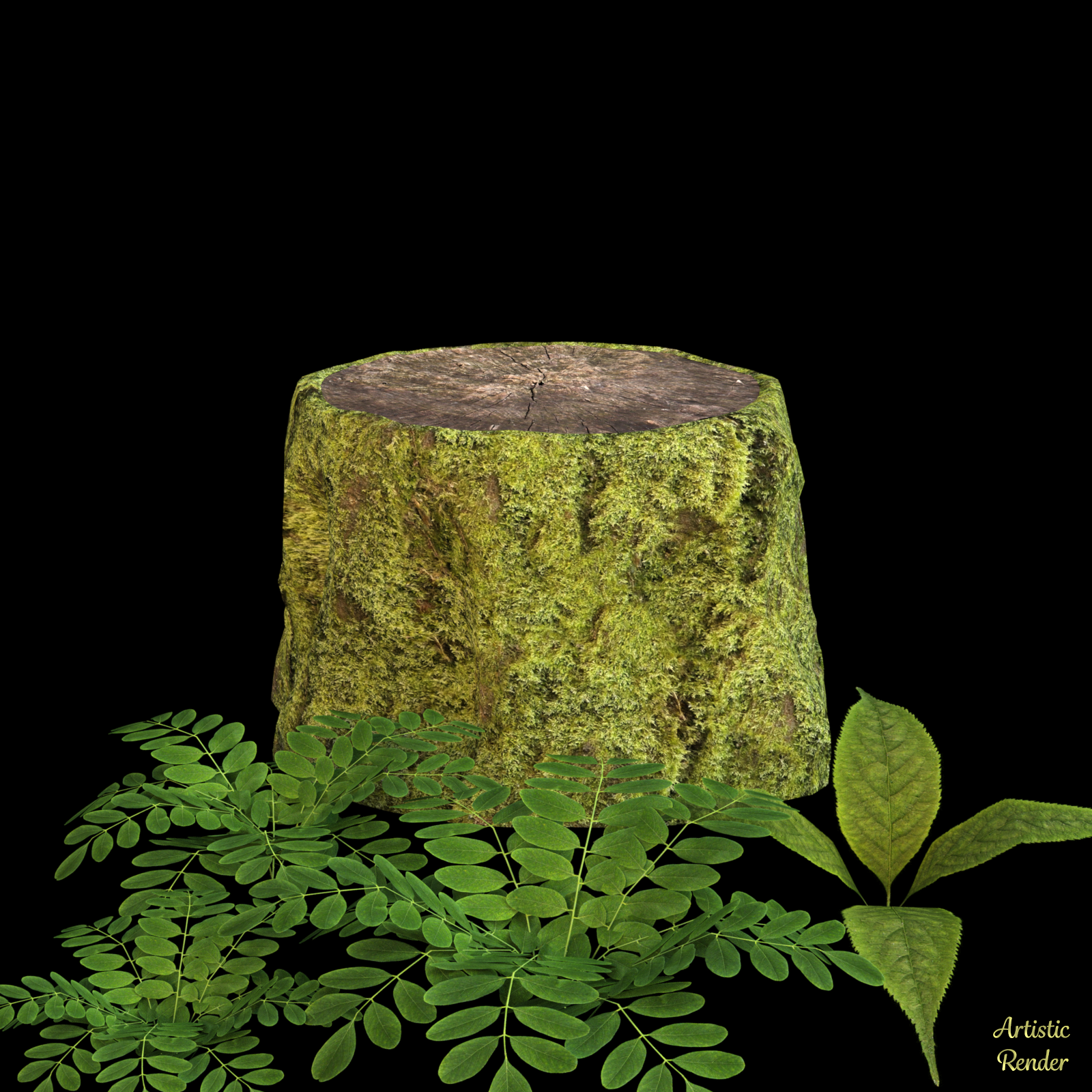 Tree Bark Shaders 2 For Daz Studio Iray by N/A