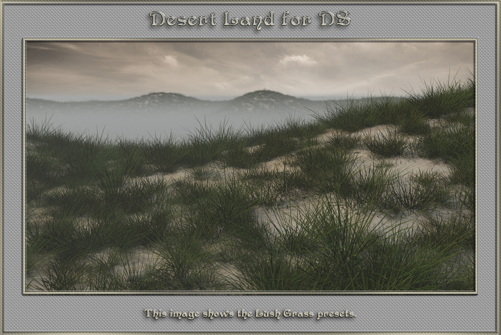 Desert Land For DS by N/A