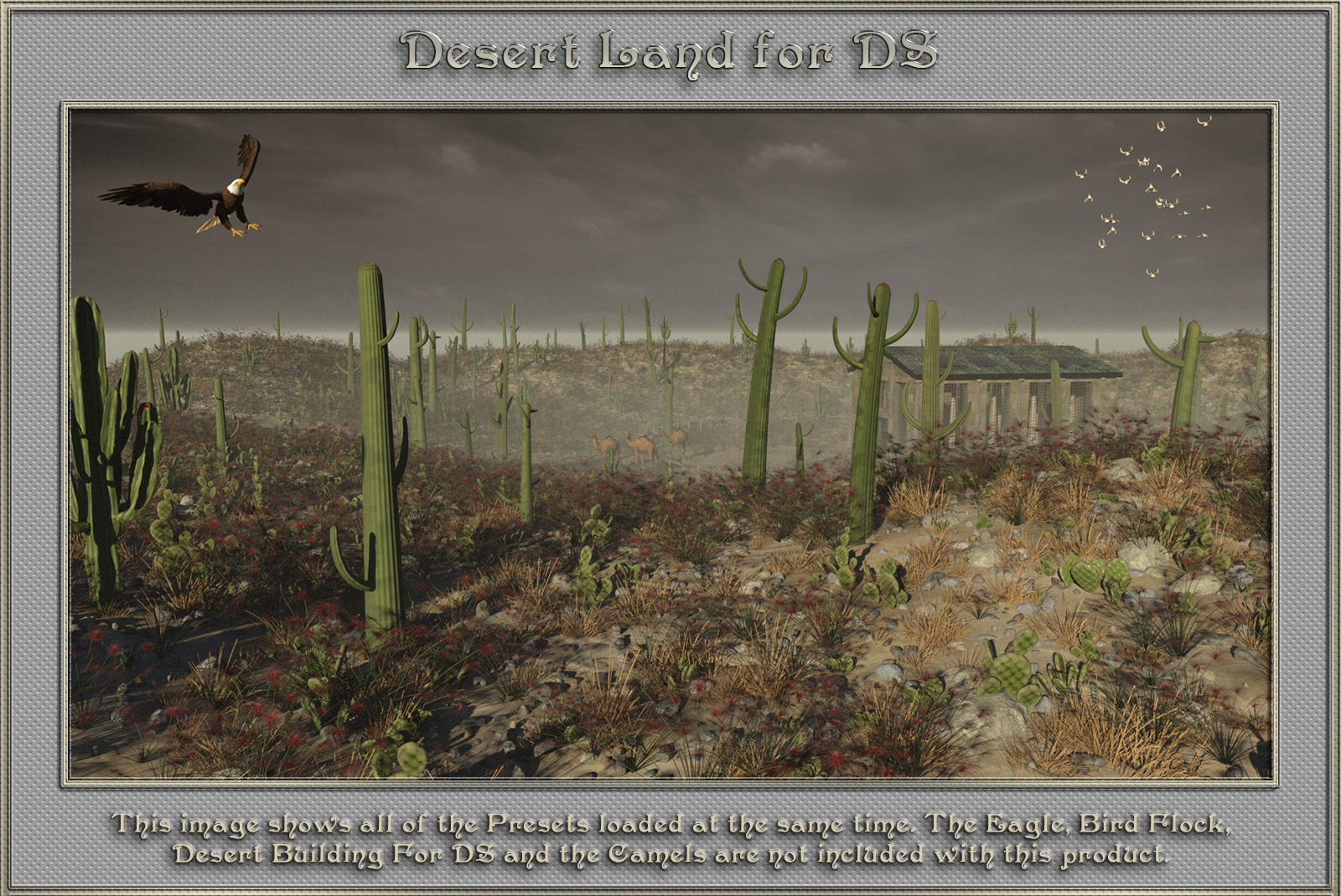 Desert Land For DS by N/A