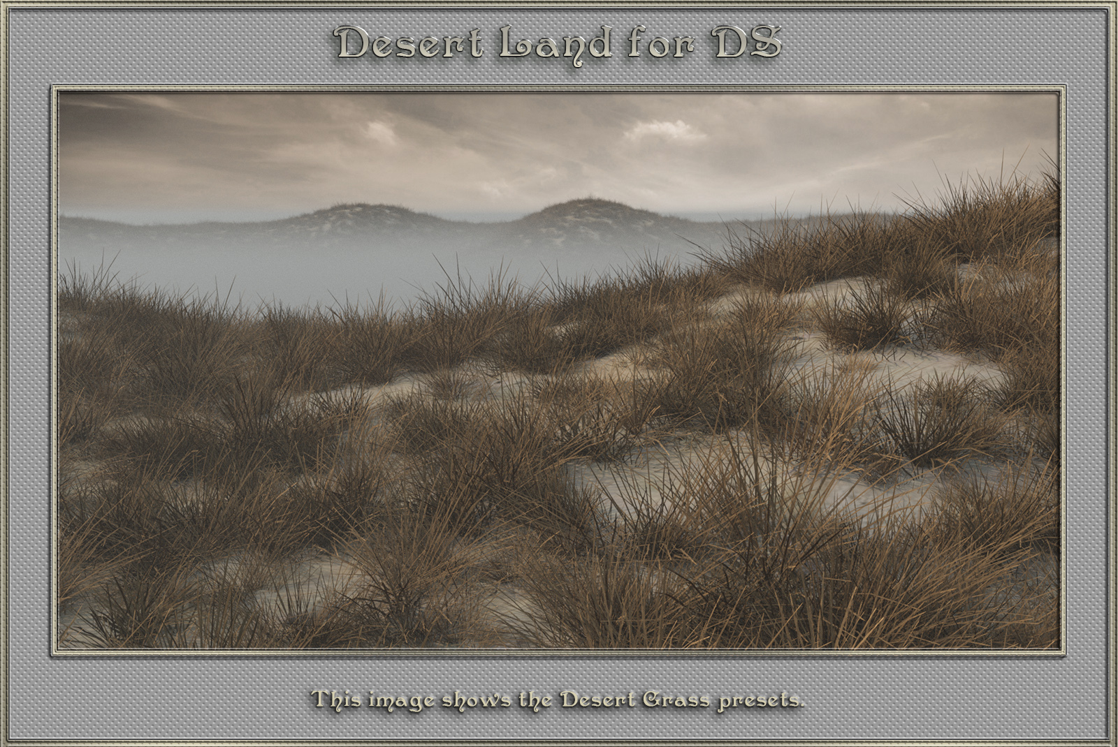 Desert Land For DS by N/A