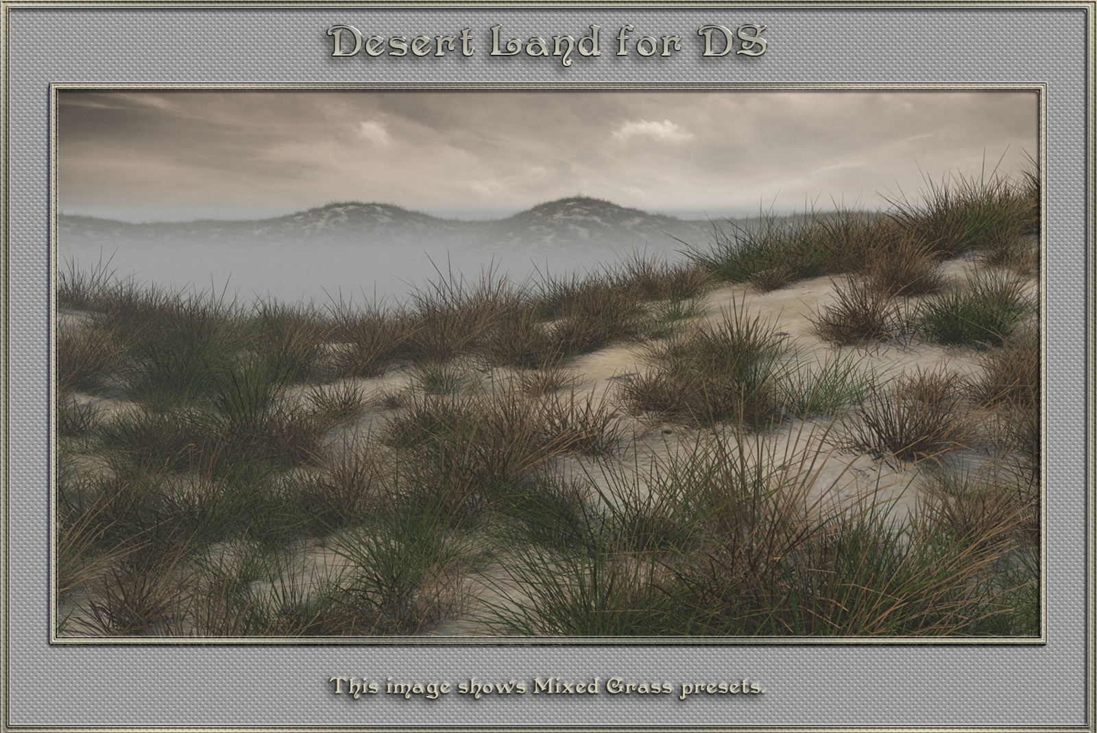 Desert Land For DS by N/A