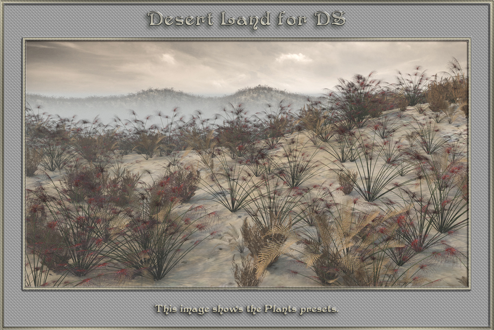 Desert Land For DS by N/A