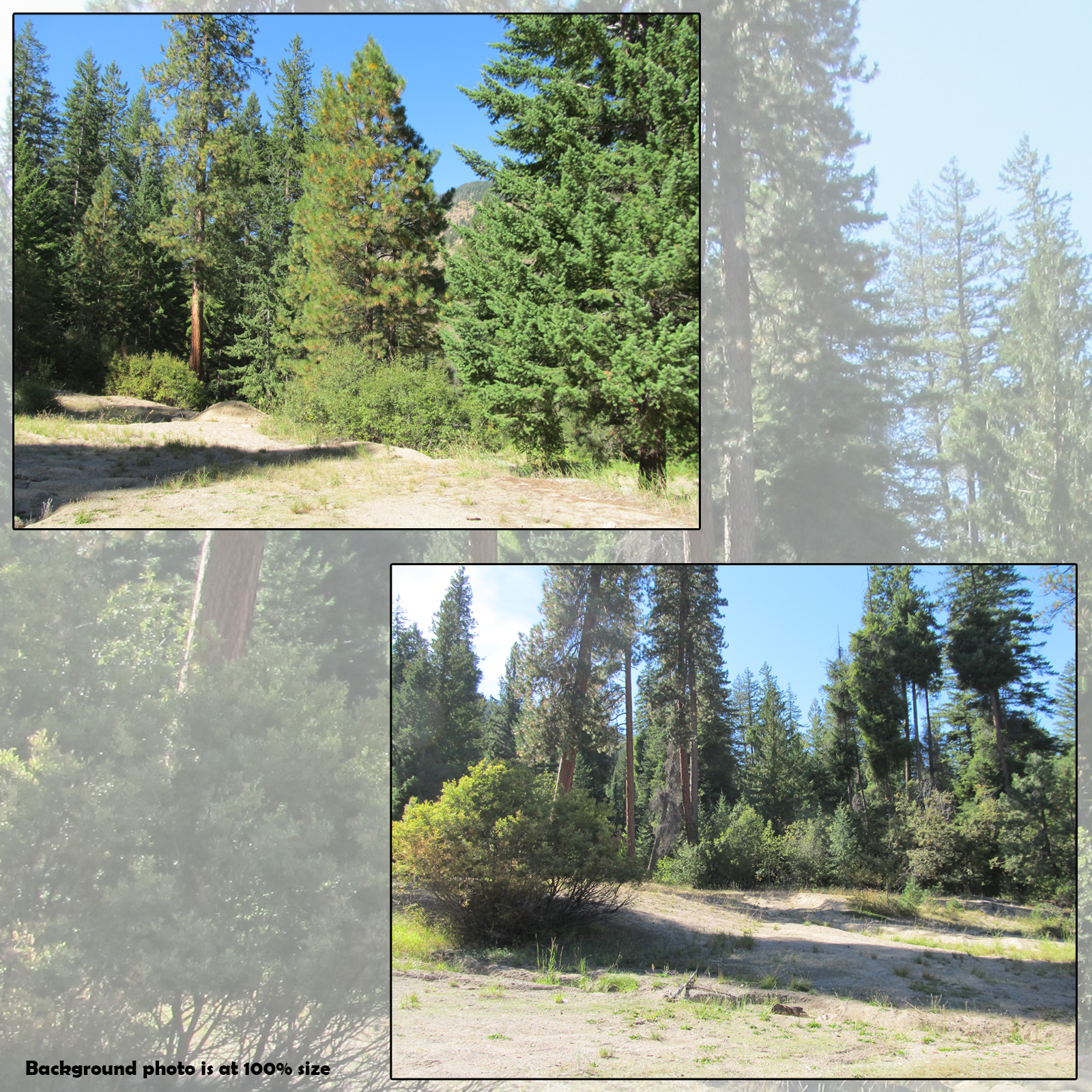 Cascades Campsites by N/A