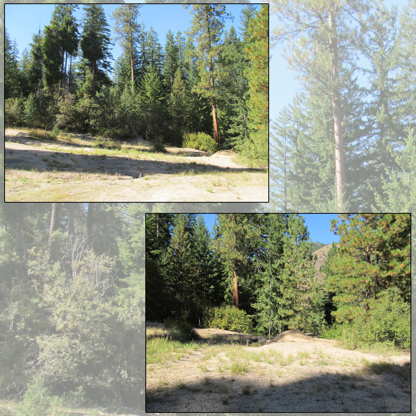 Cascades Campsites by N/A