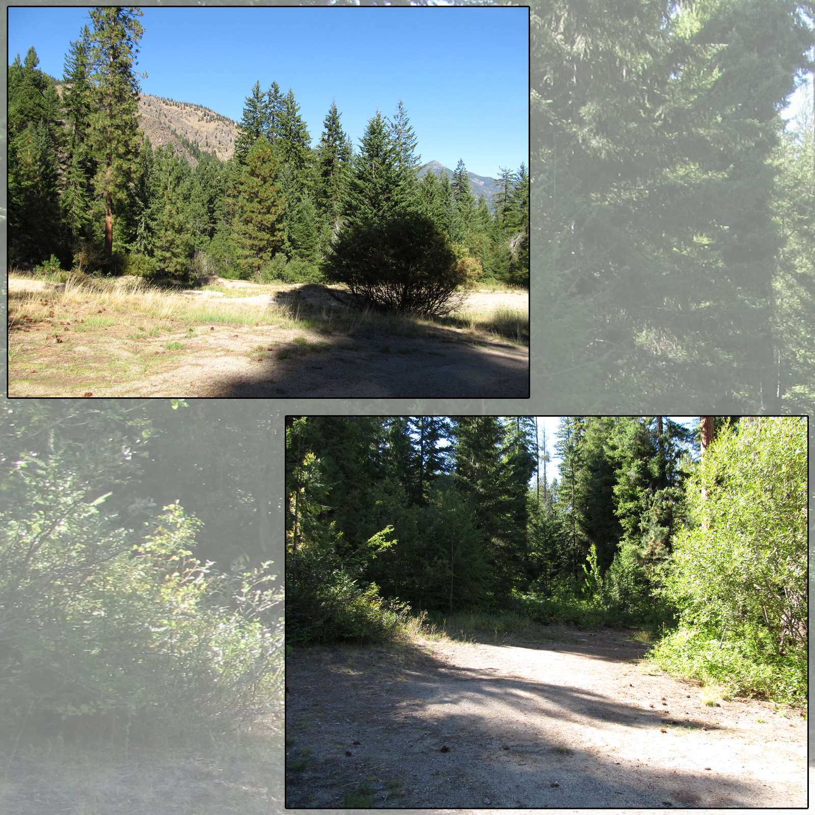 Cascades Campsites by N/A