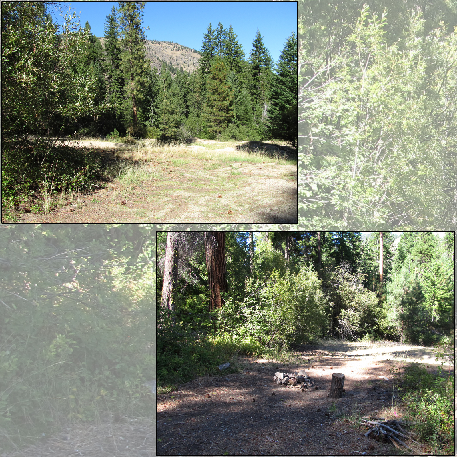 Cascades Campsites by N/A