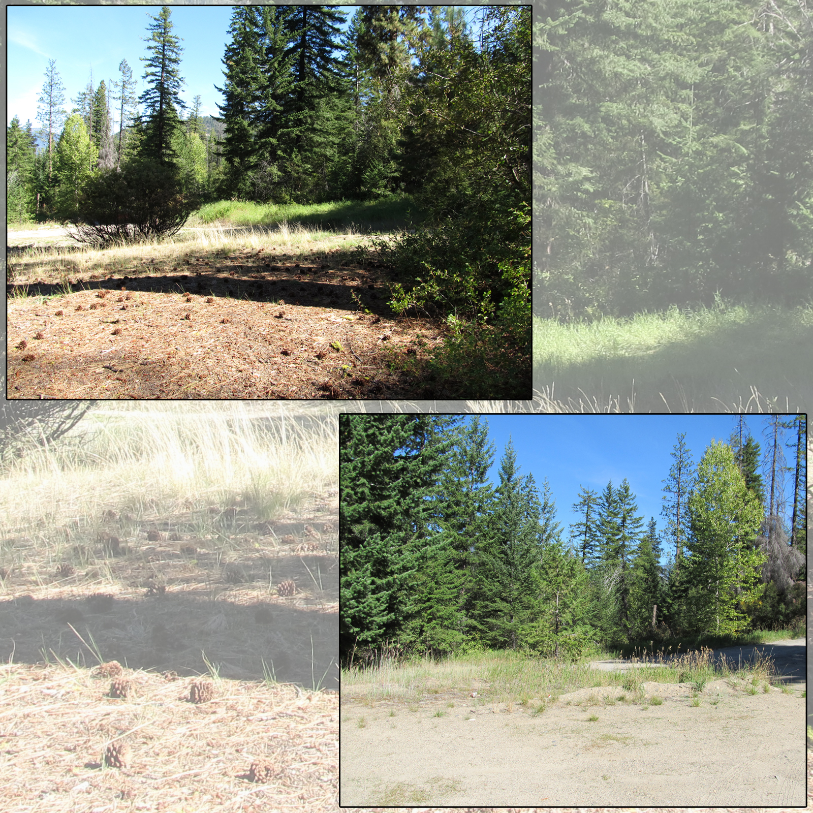 Cascades Campsites by N/A
