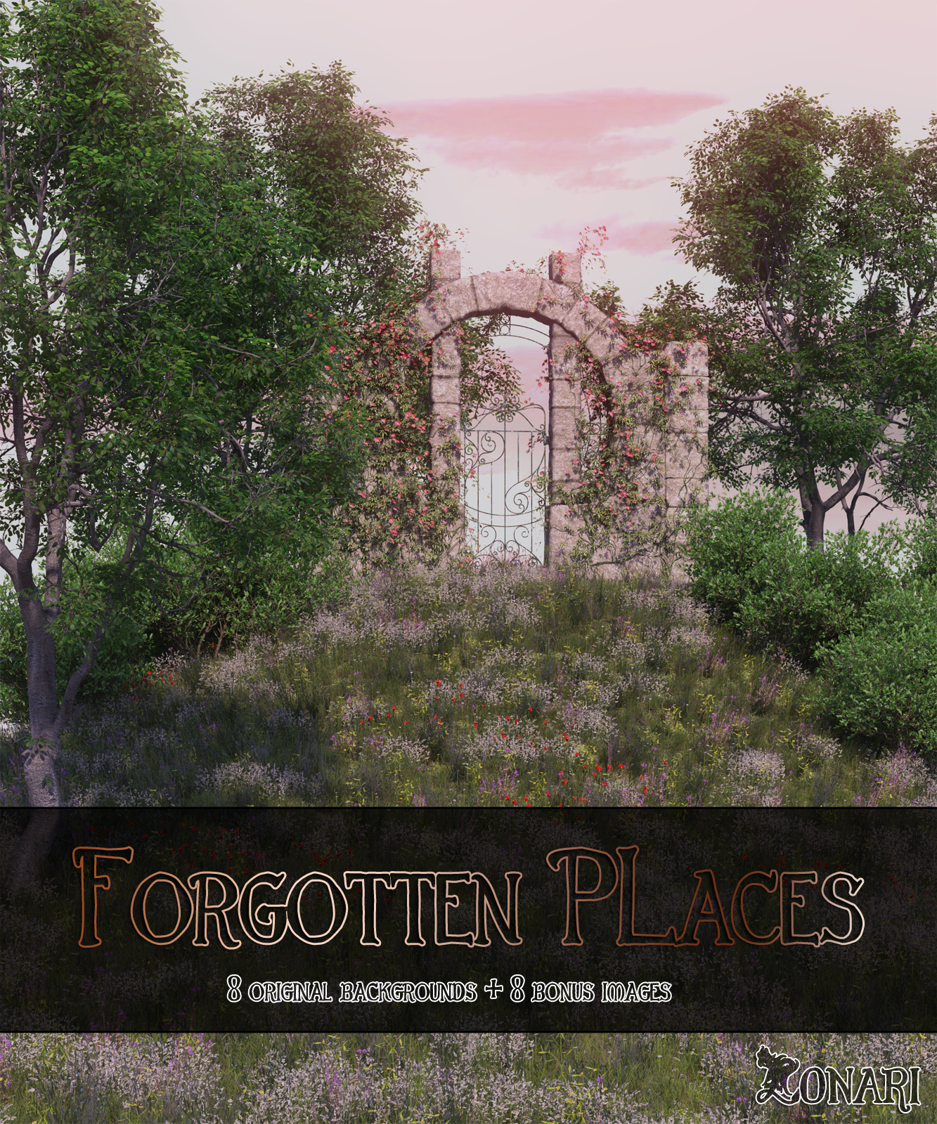 Forgotten Places by N/A