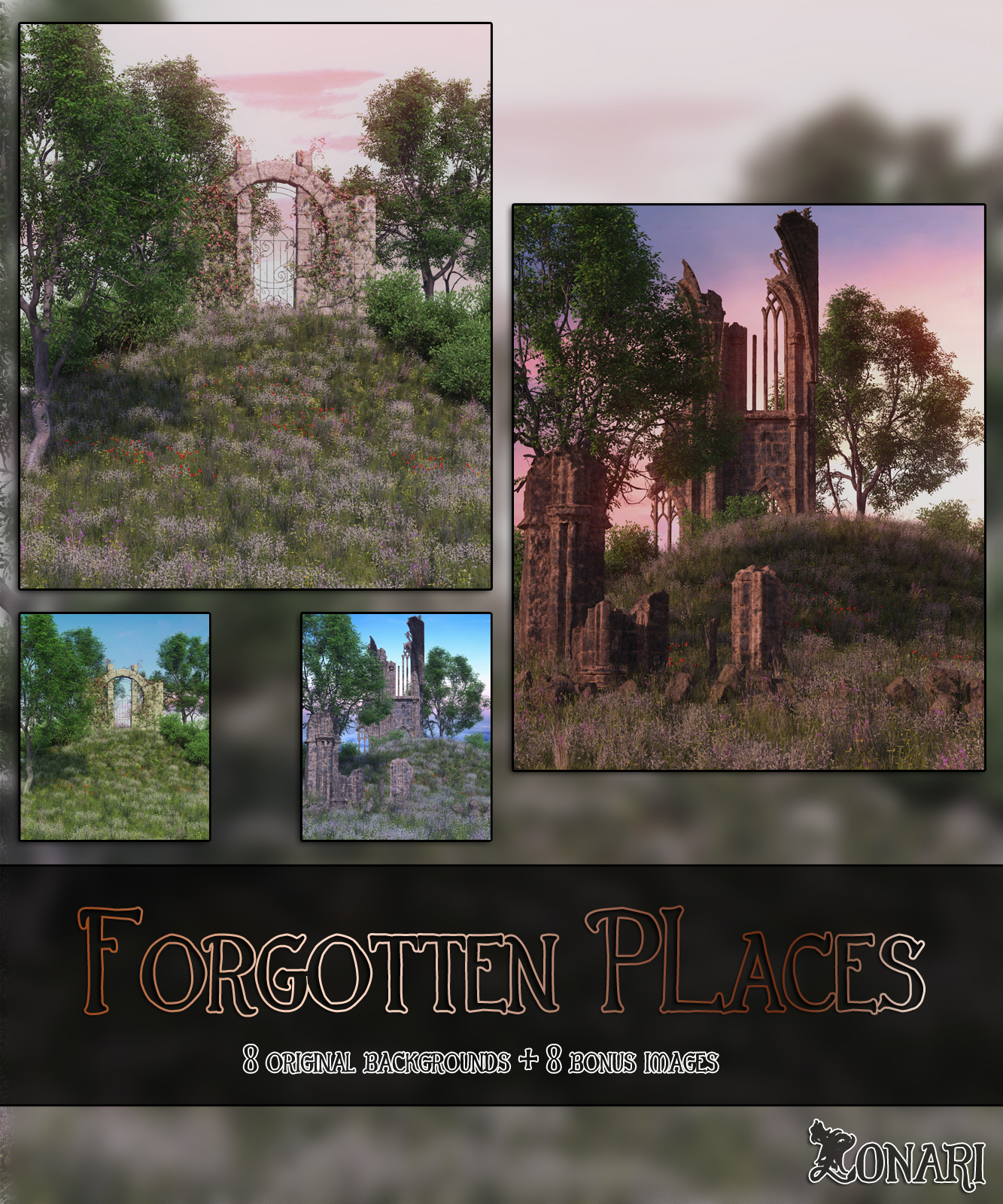 Forgotten Places by N/A