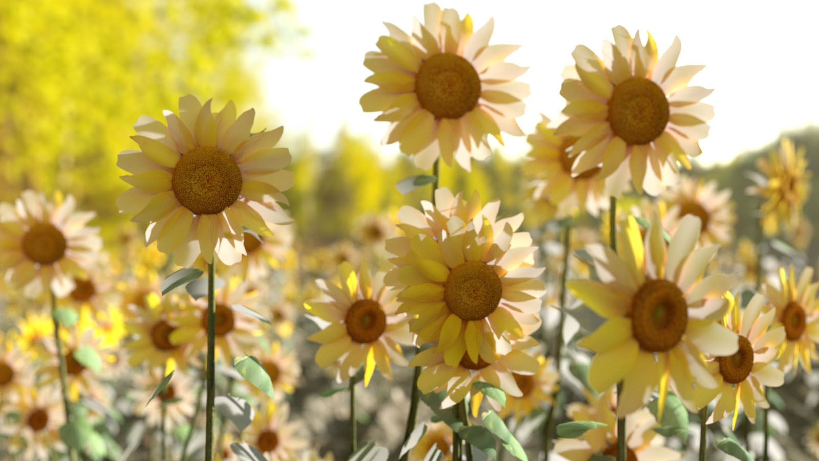 Photo Plants: Sun Flowers by N/A
