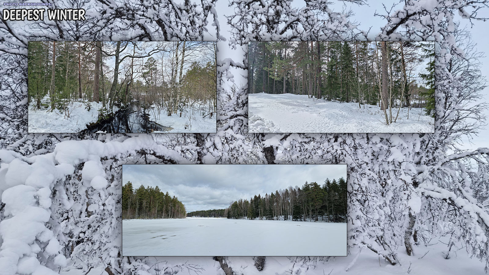 Photo Backgrounds: Deepest Winter by N/A