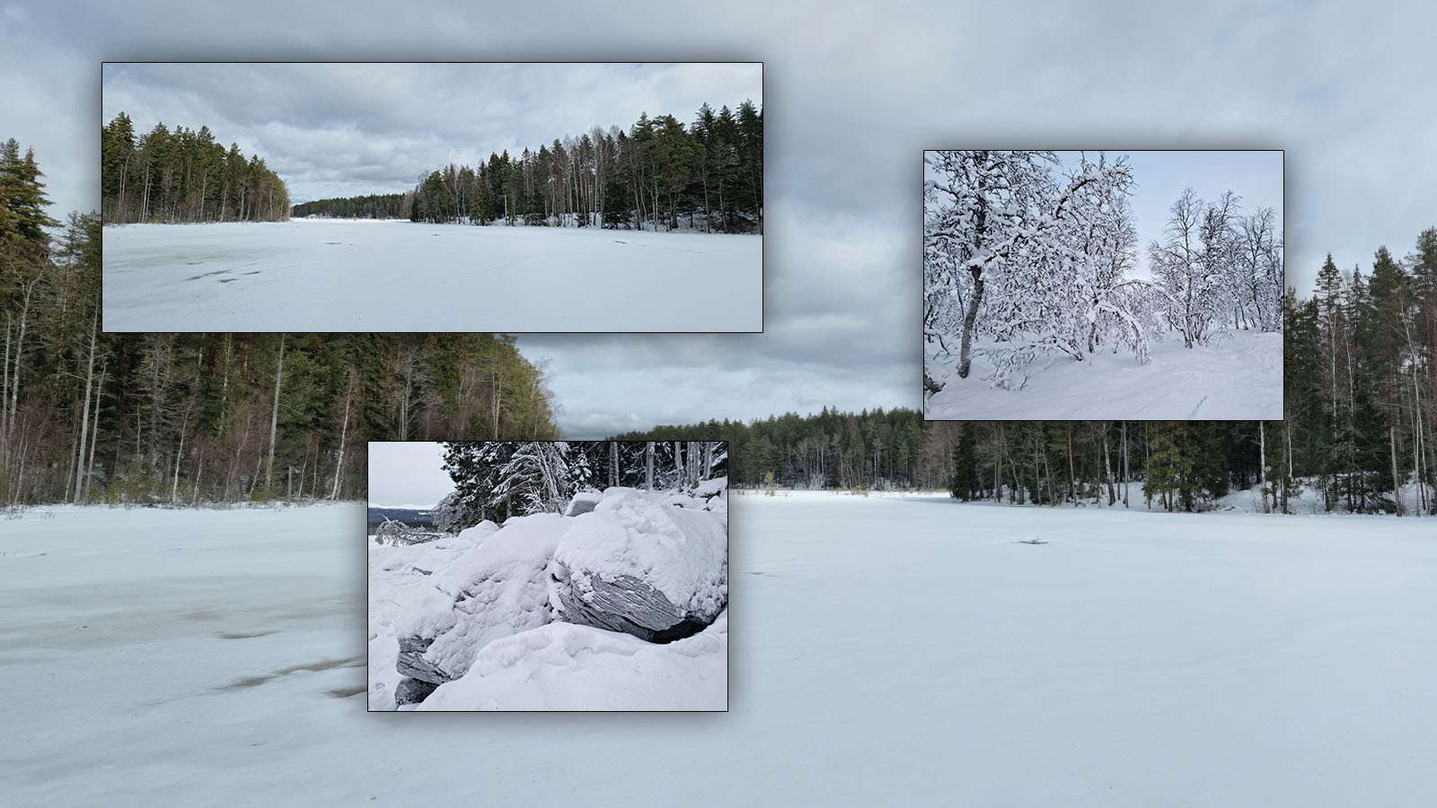 Photo Backgrounds: Deepest Winter by N/A