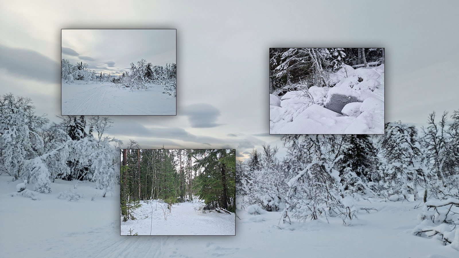 Photo Backgrounds: Deepest Winter by N/A