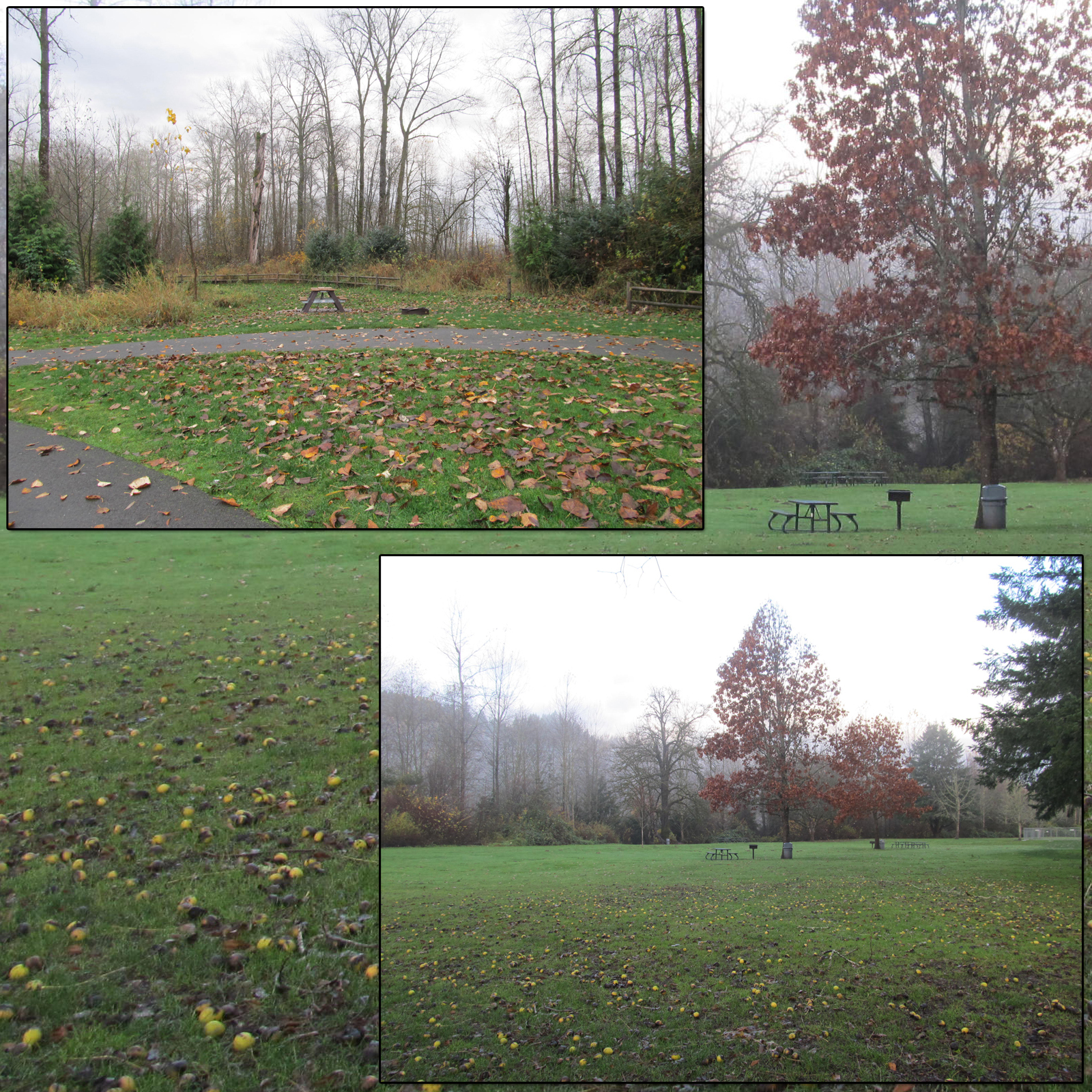 Campsites 3 by N/A