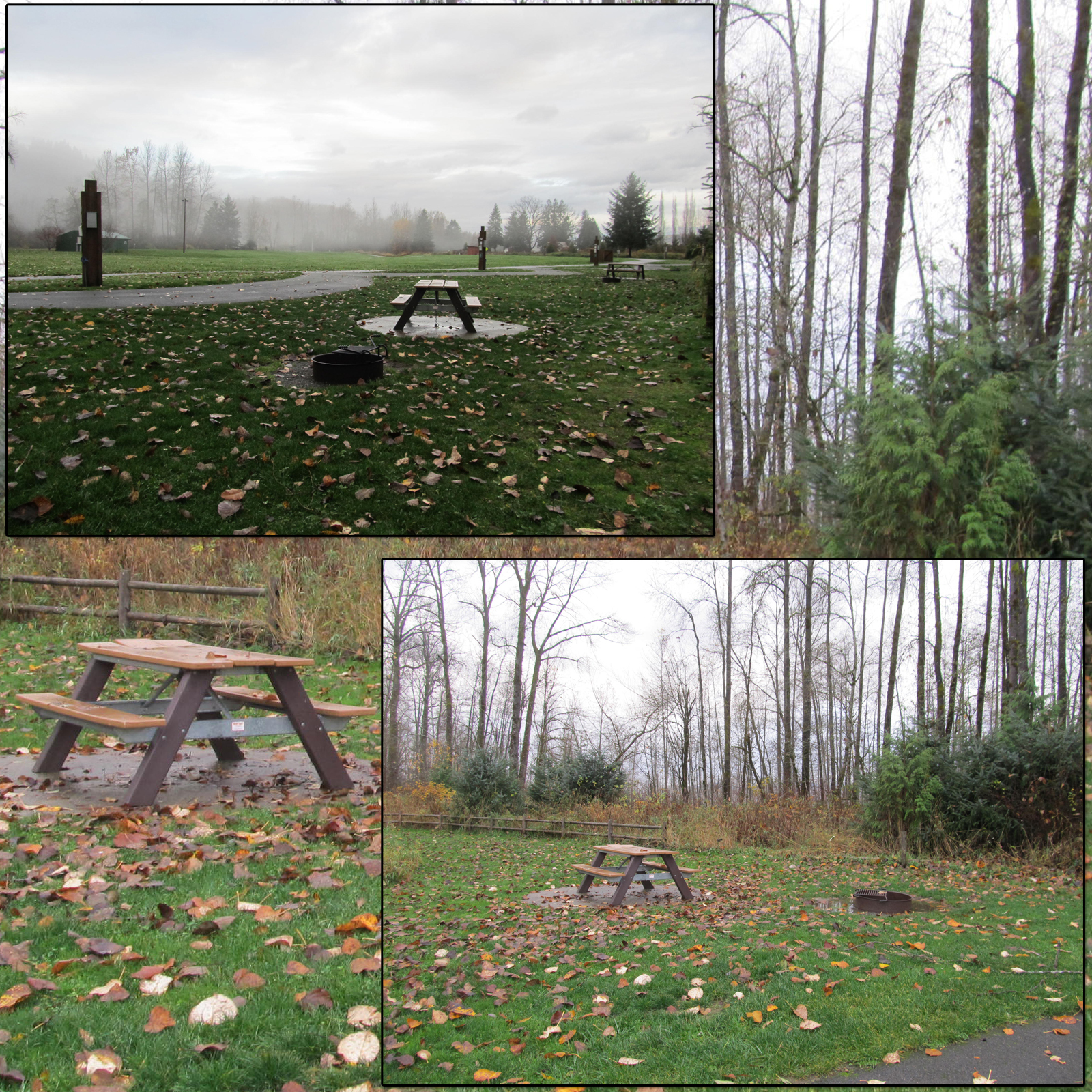 Campsites 3 by N/A