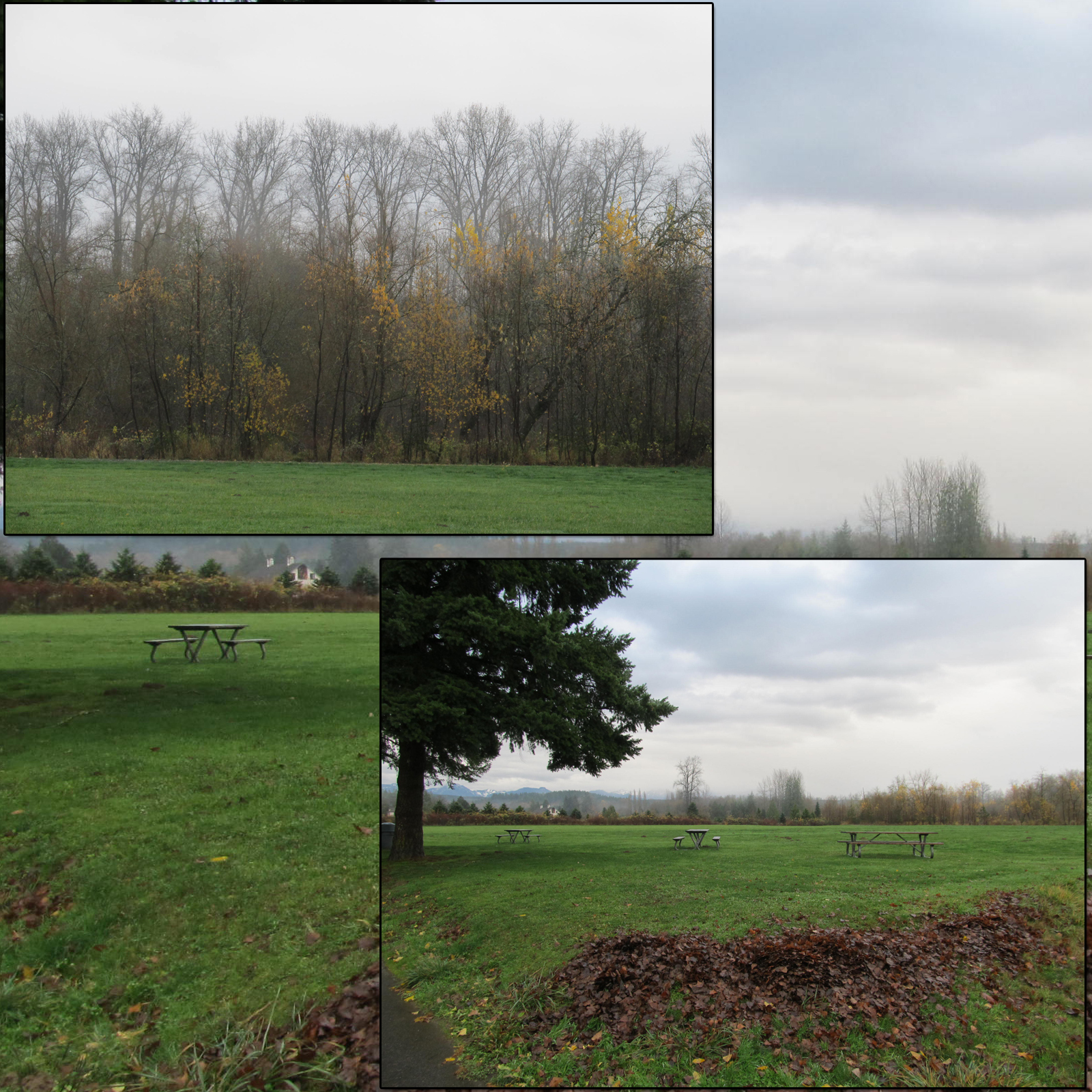 Campsites 3 by N/A