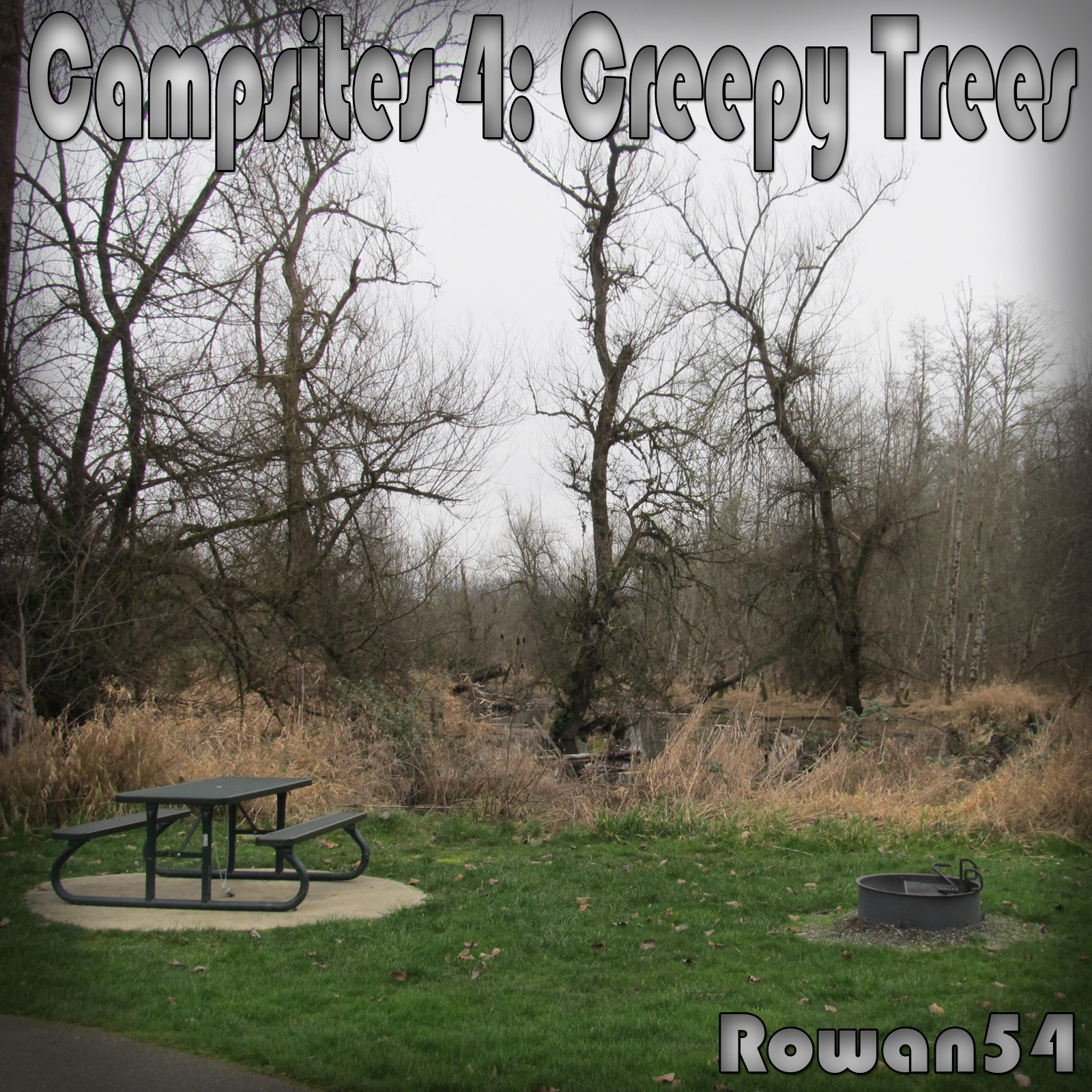 Campsites 4: Creepy Trees by N/A