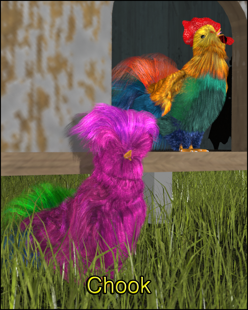 Chook by N/A