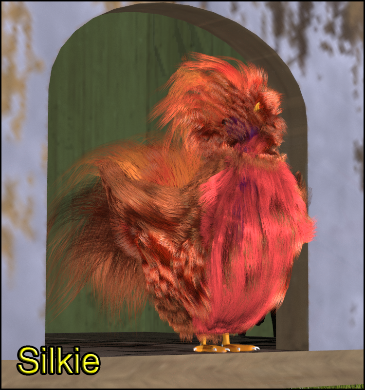Chook by N/A