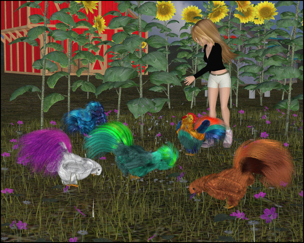 Chook by N/A