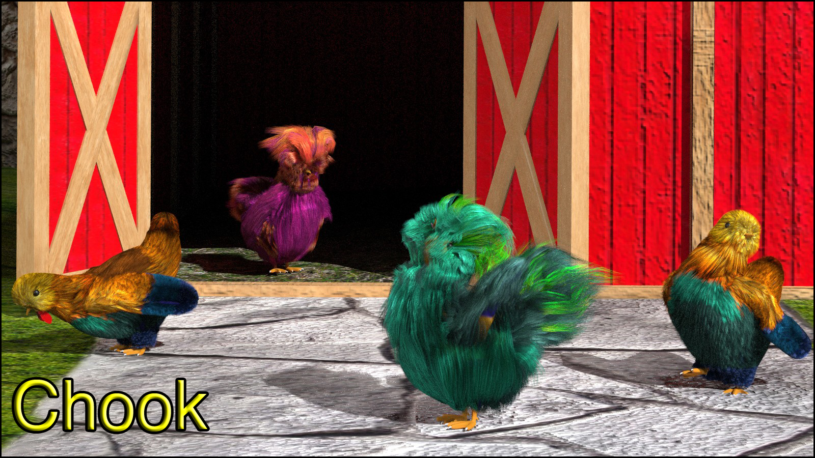 Chook by N/A