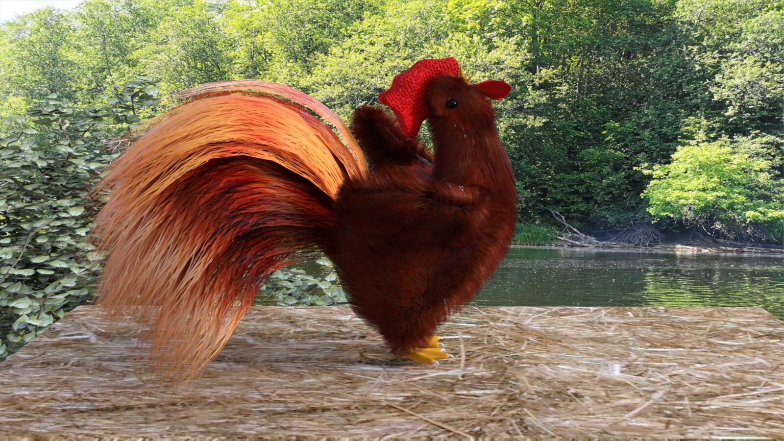 Chook by N/A