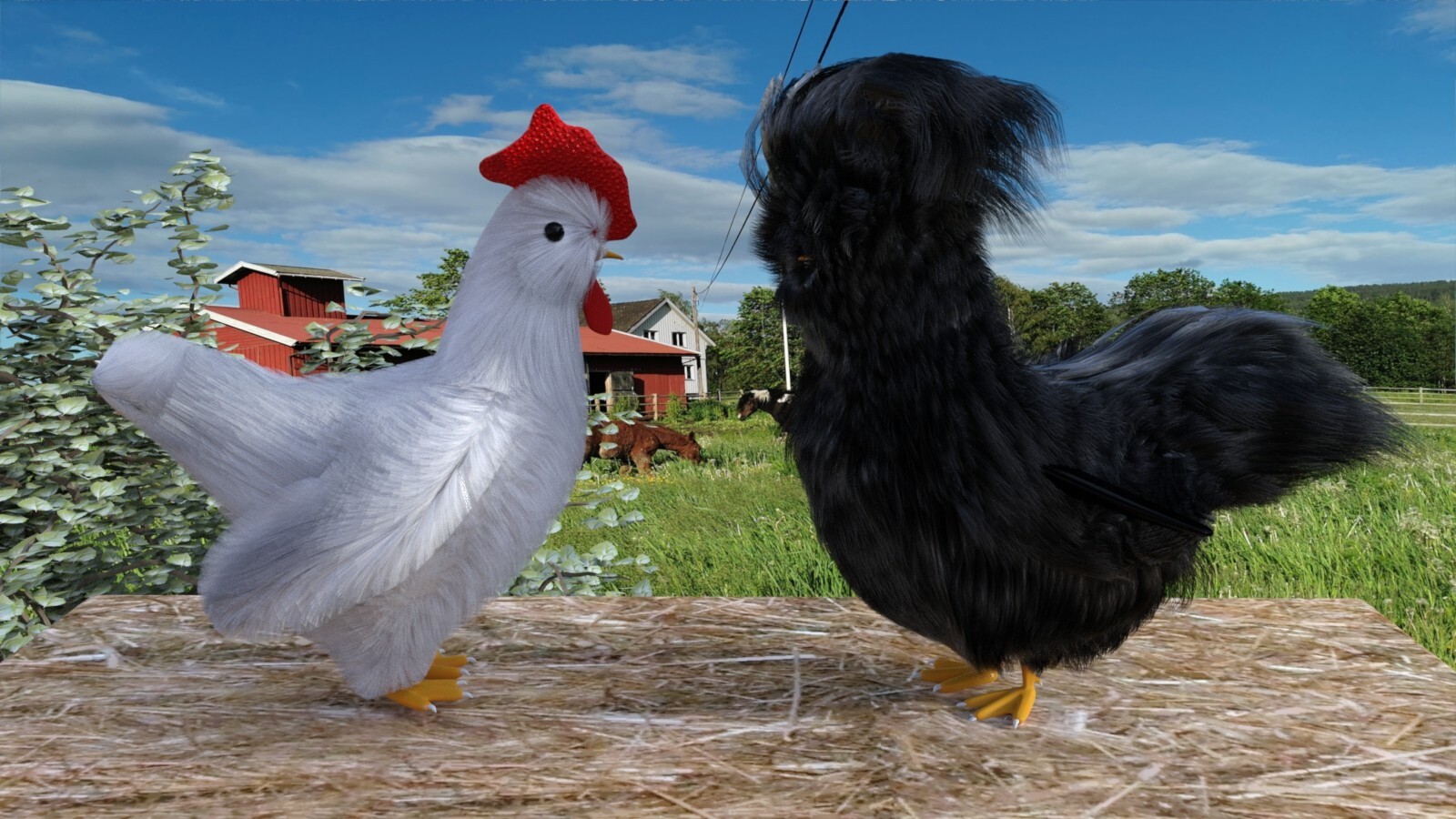 Chook by N/A