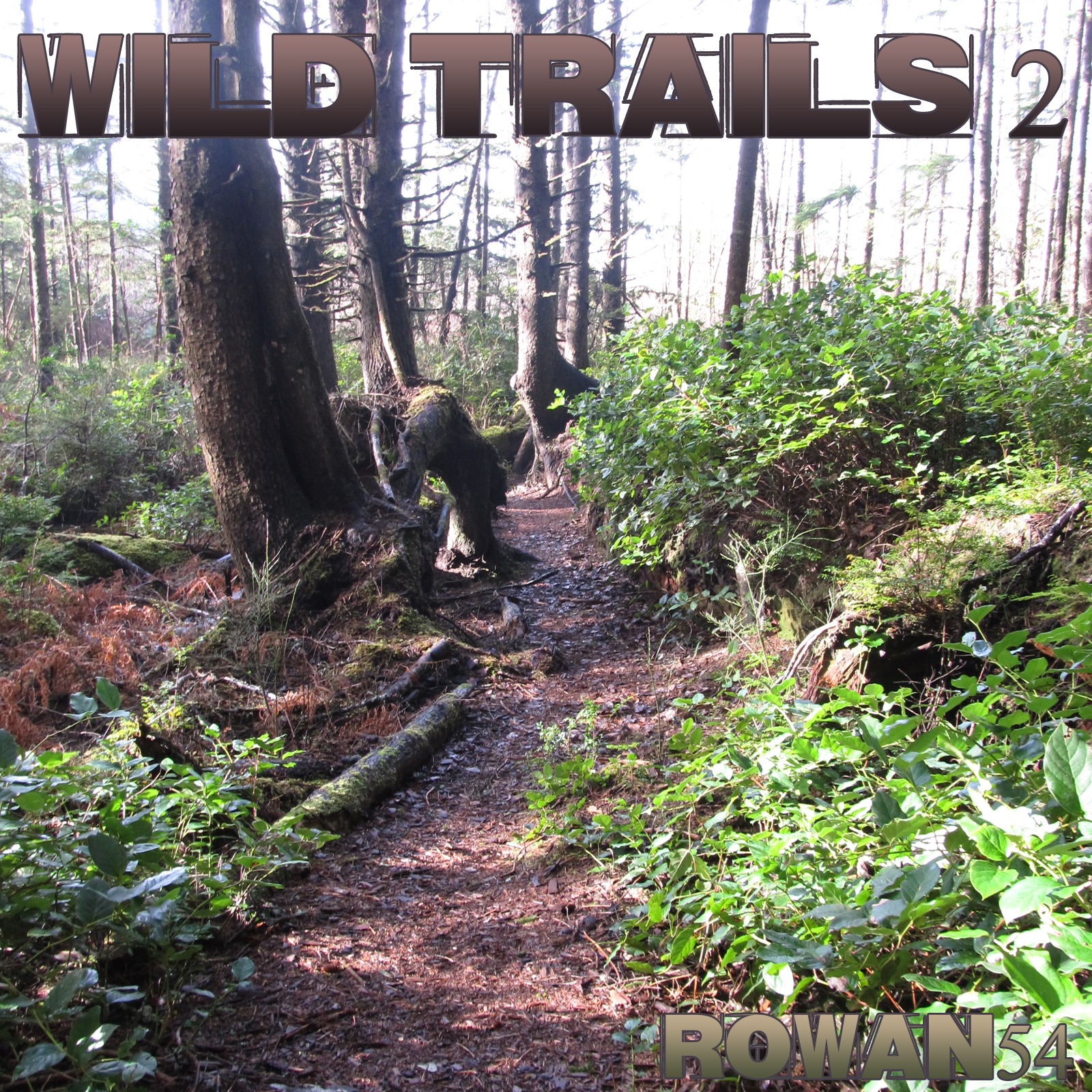 Wild Trails 2 by N/A