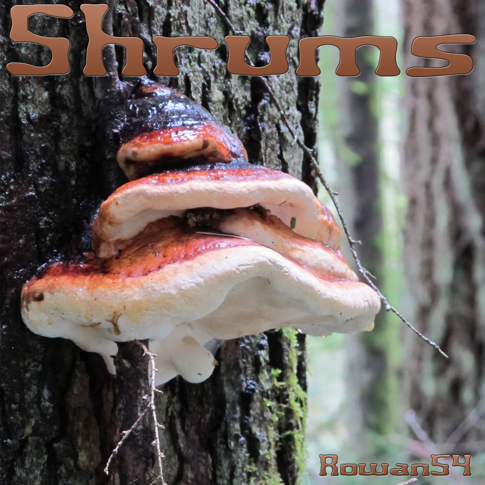 Shrums:  A Merchant Resource by N/A