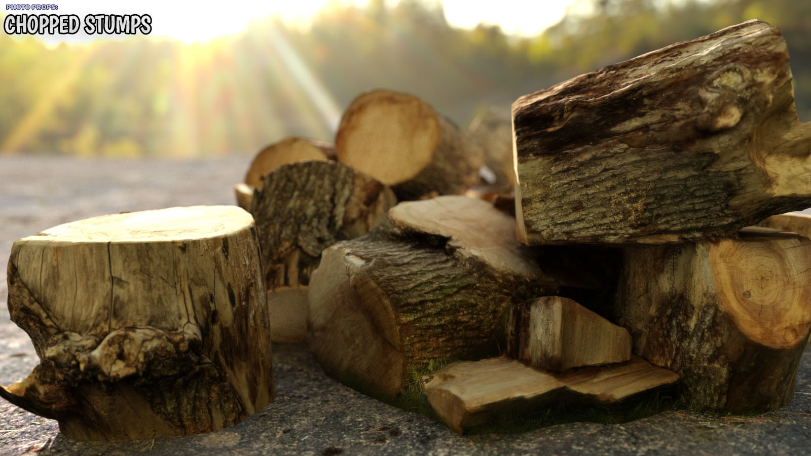 Photo Props: Chopped Stumps by N/A