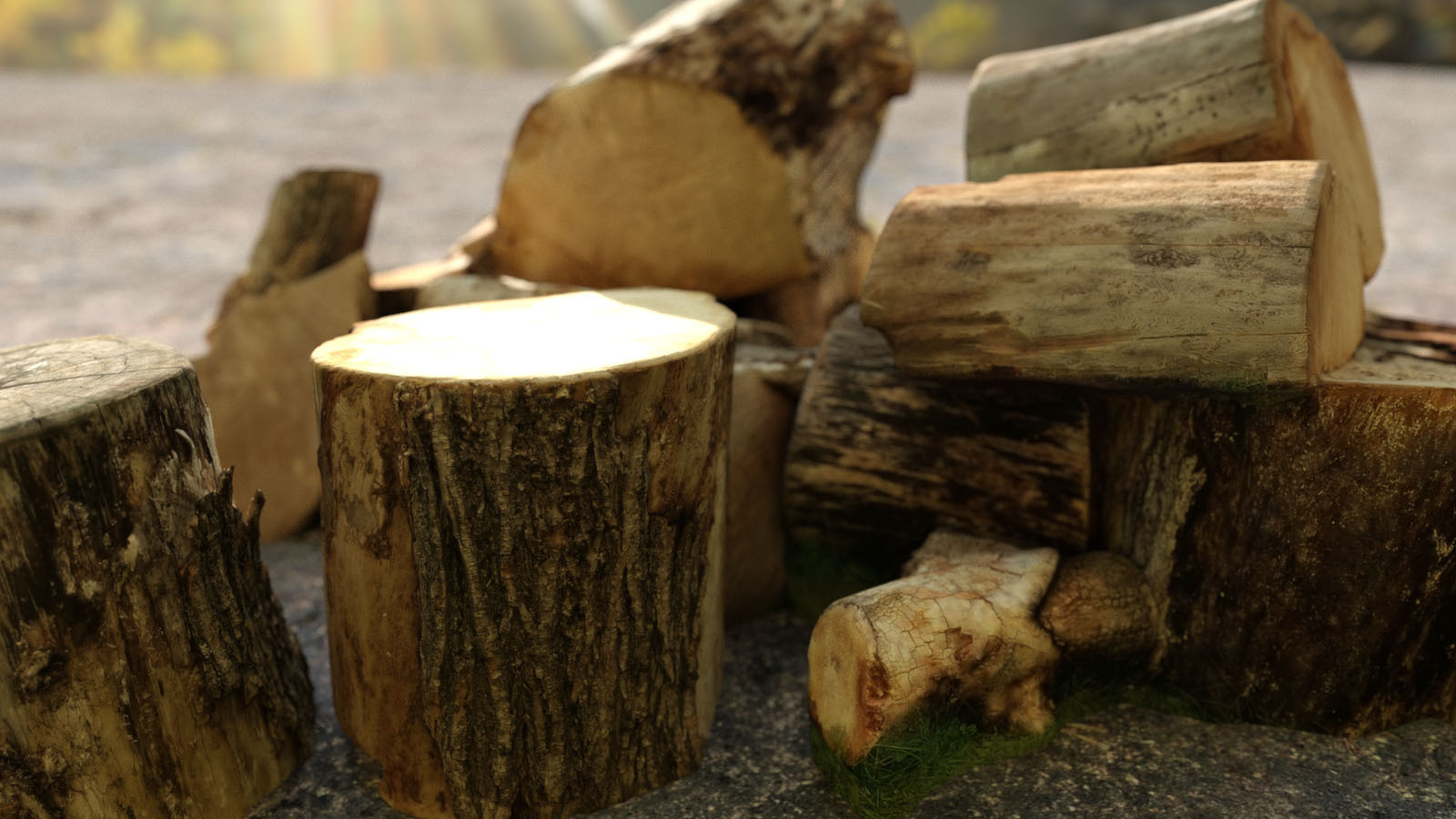 Photo Props: Chopped Stumps by N/A