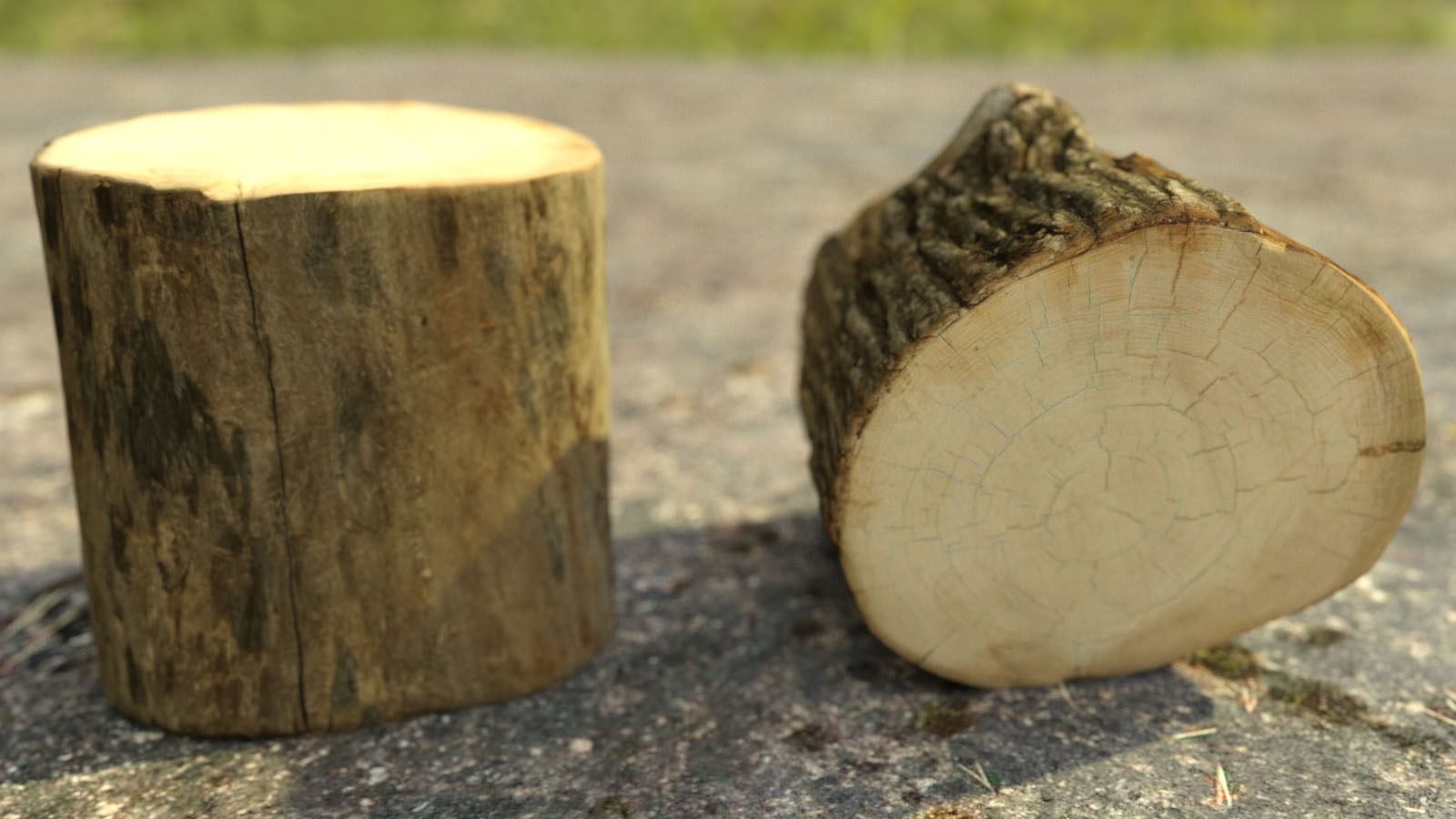 Photo Props: Chopped Stumps by N/A
