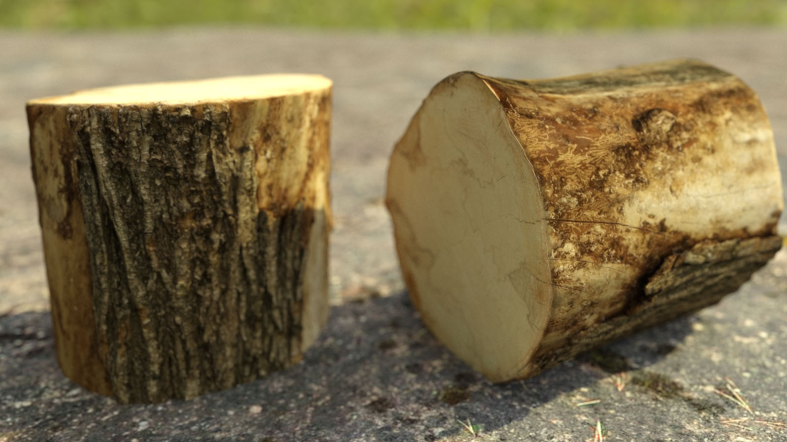 Photo Props: Chopped Stumps by N/A