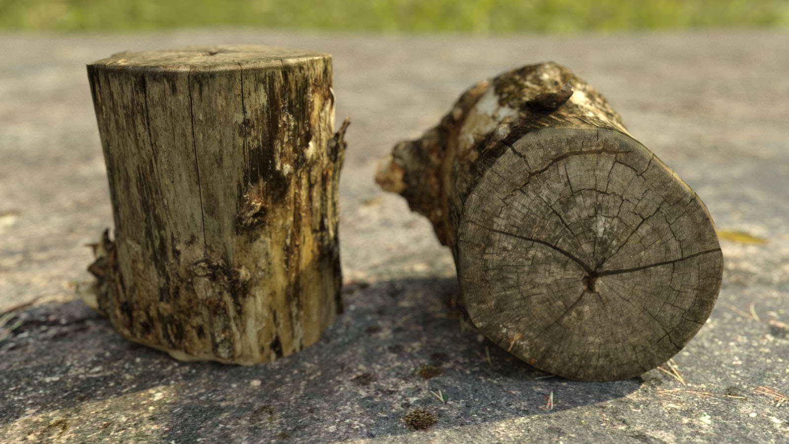 Photo Props: Chopped Stumps by N/A