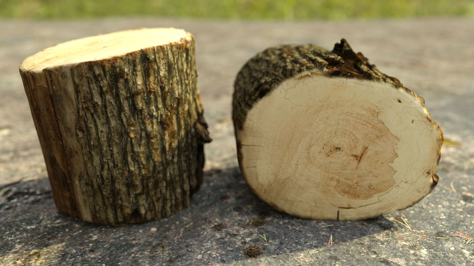 Photo Props: Chopped Stumps by N/A