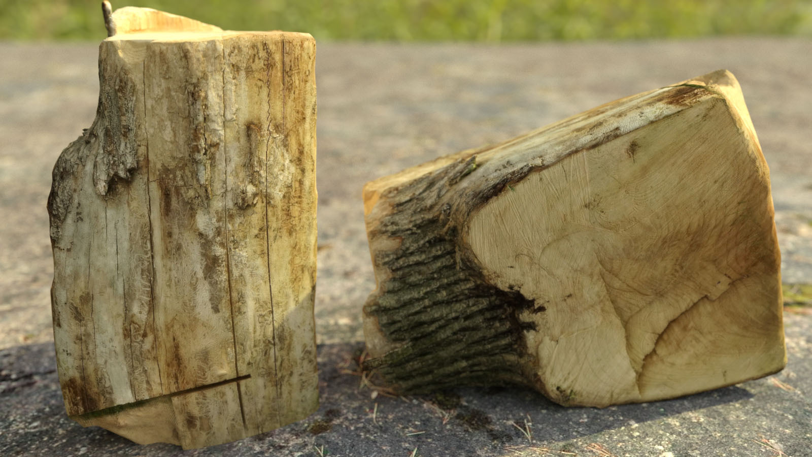 Photo Props: Chopped Stumps by N/A