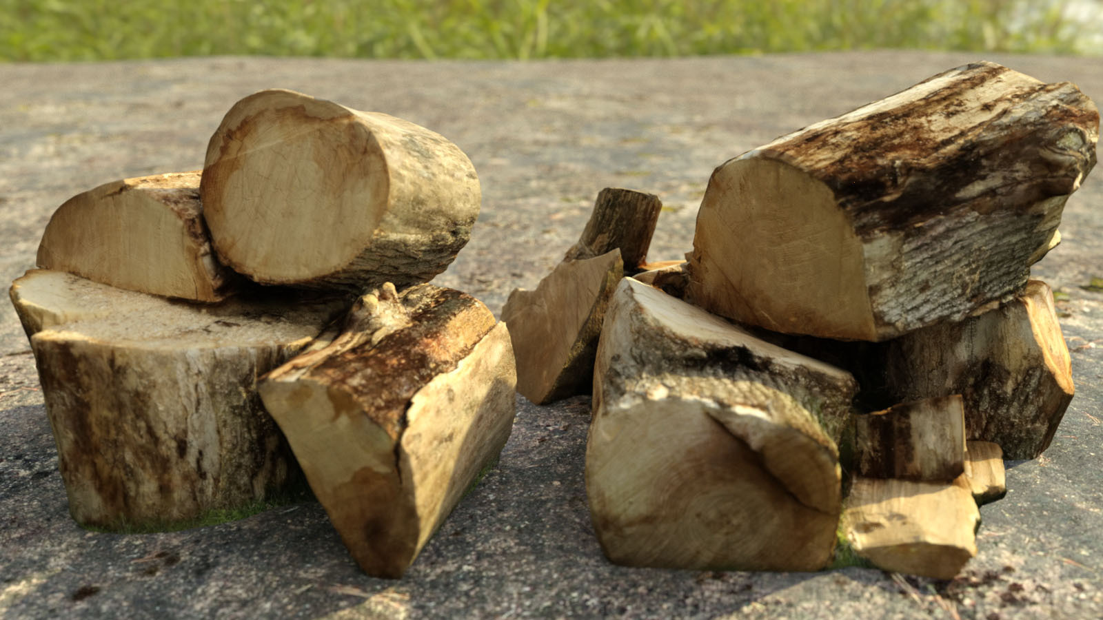 Photo Props: Chopped Stumps by N/A