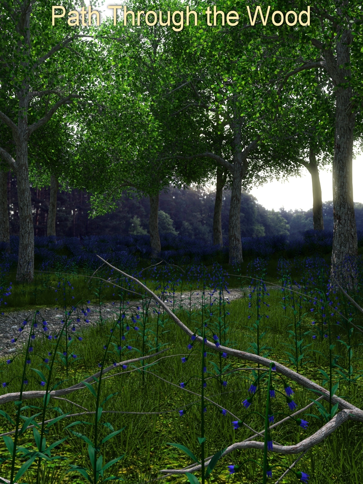 Path Through the Wood by N/A