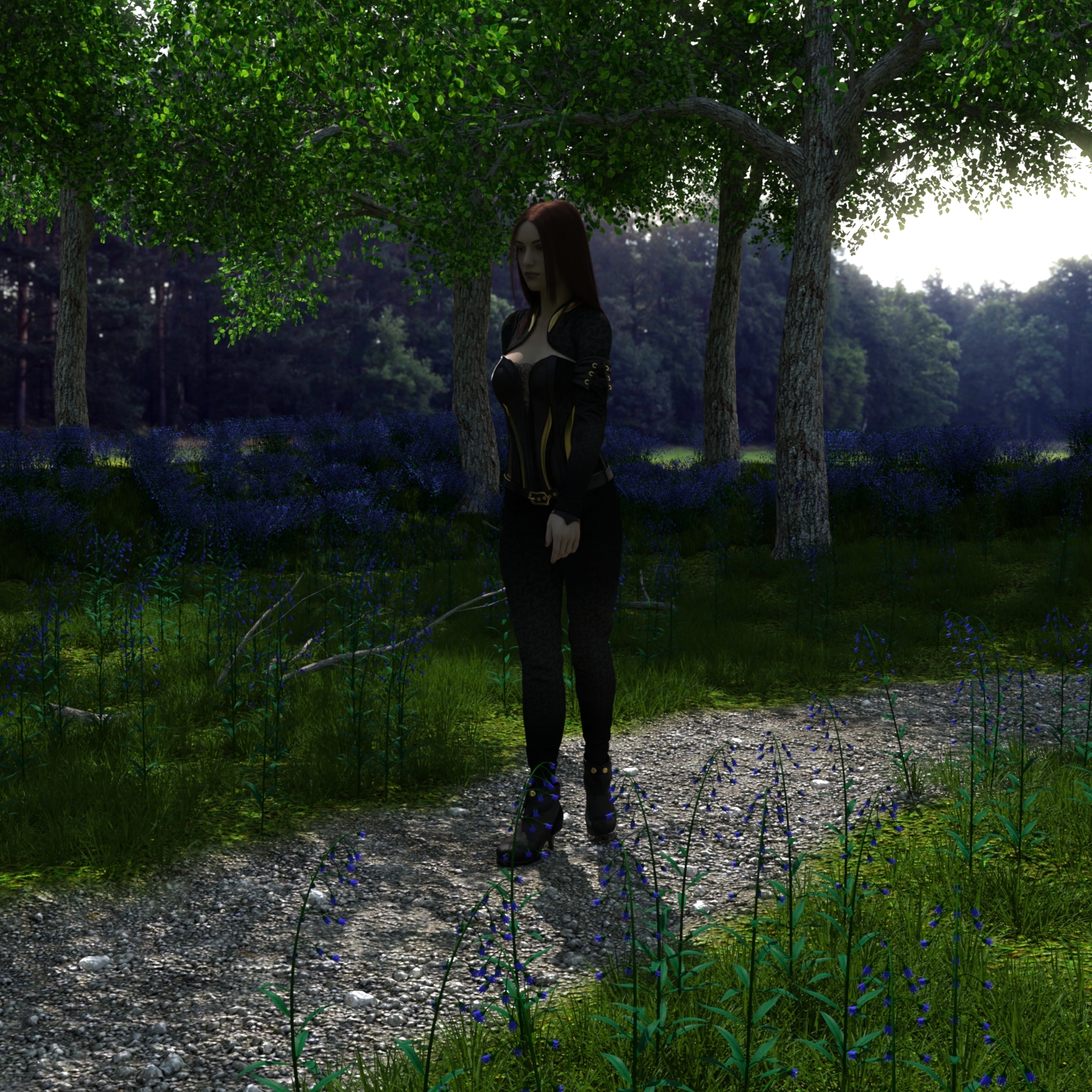 Path Through the Wood by N/A