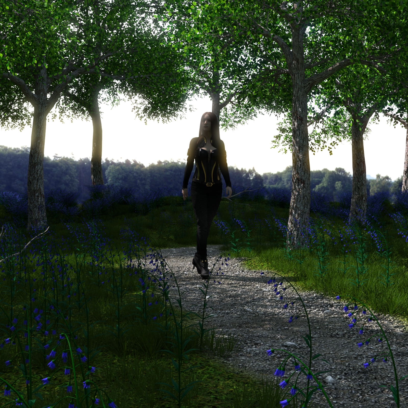 Path Through the Wood by N/A