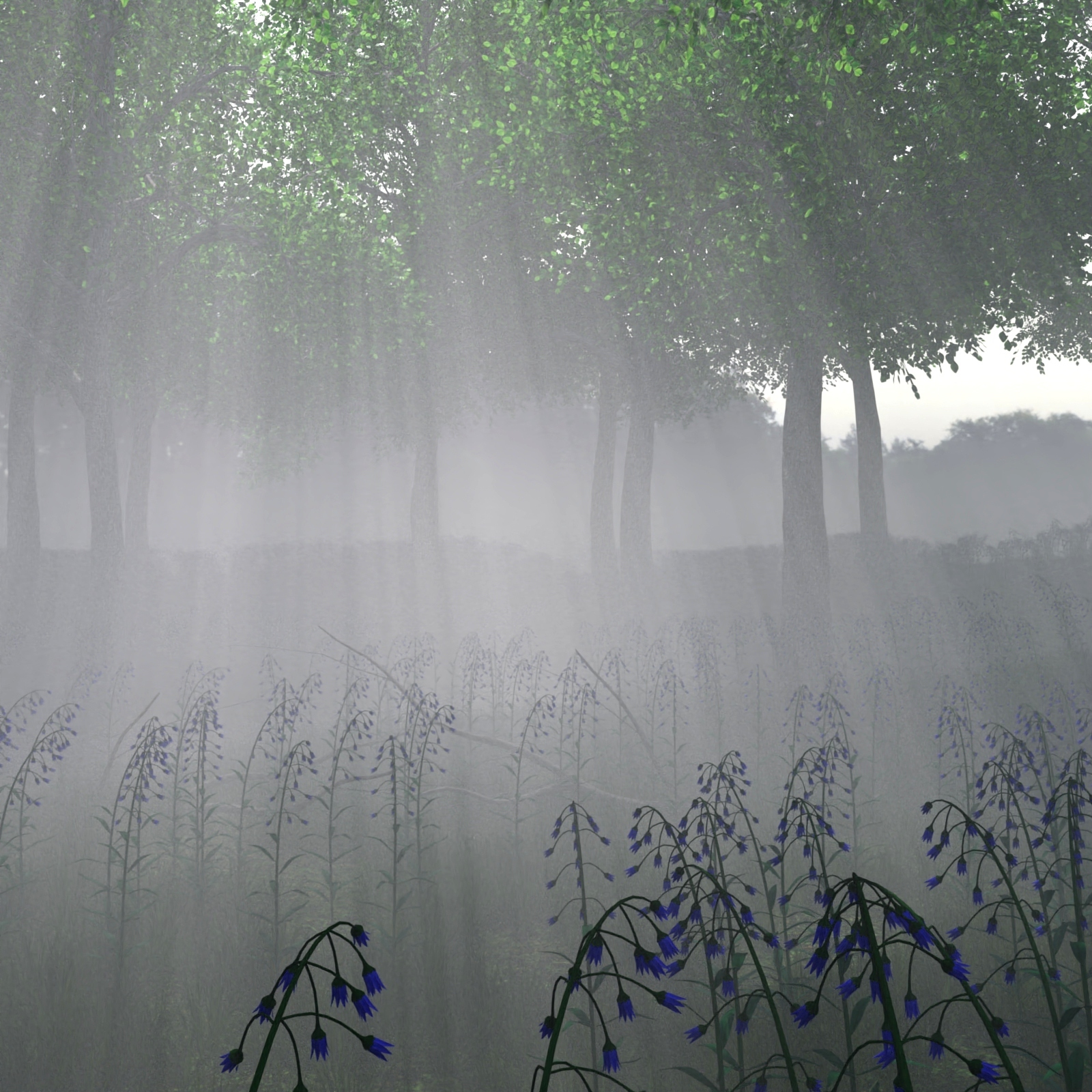 Path Through the Wood by N/A