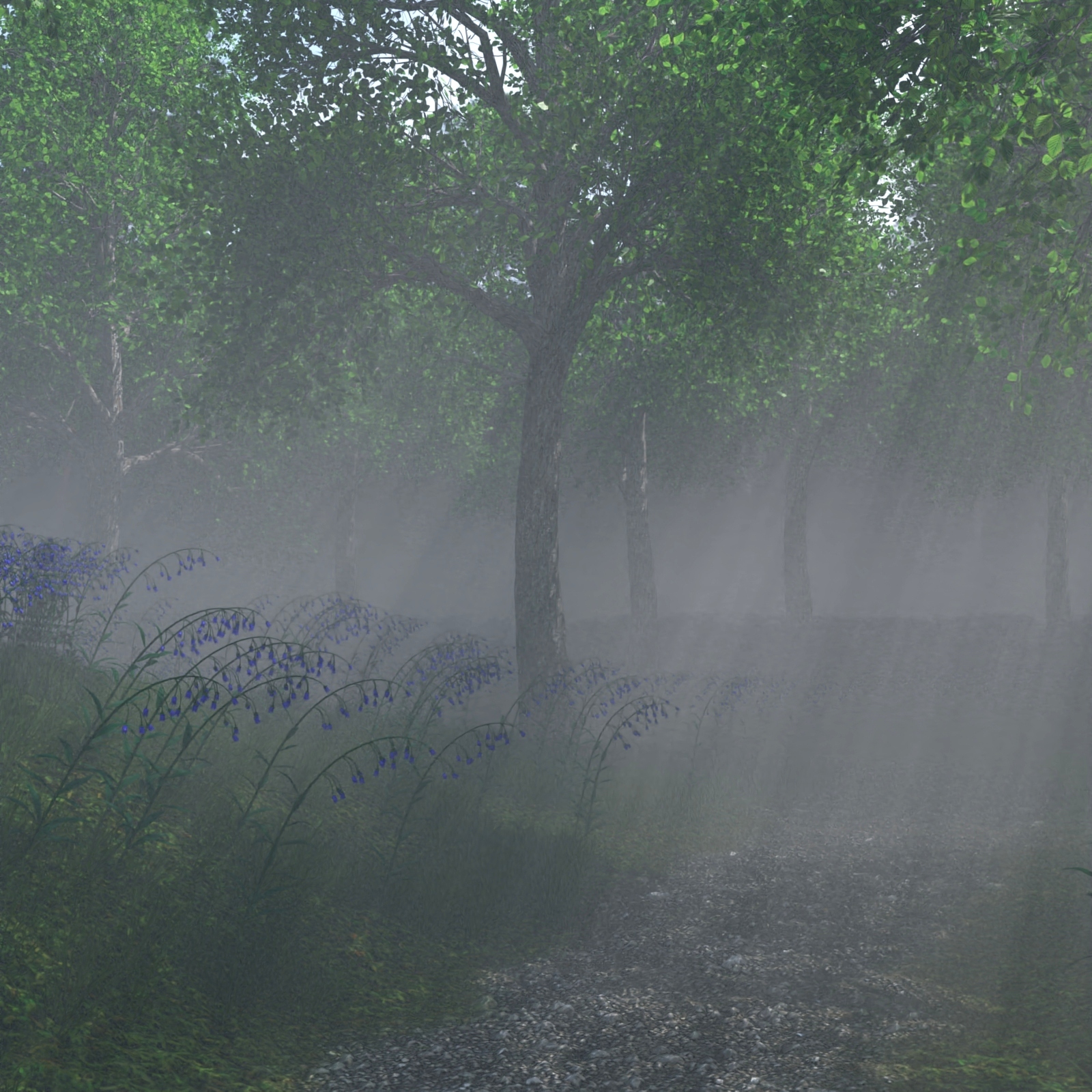 Path Through the Wood by N/A