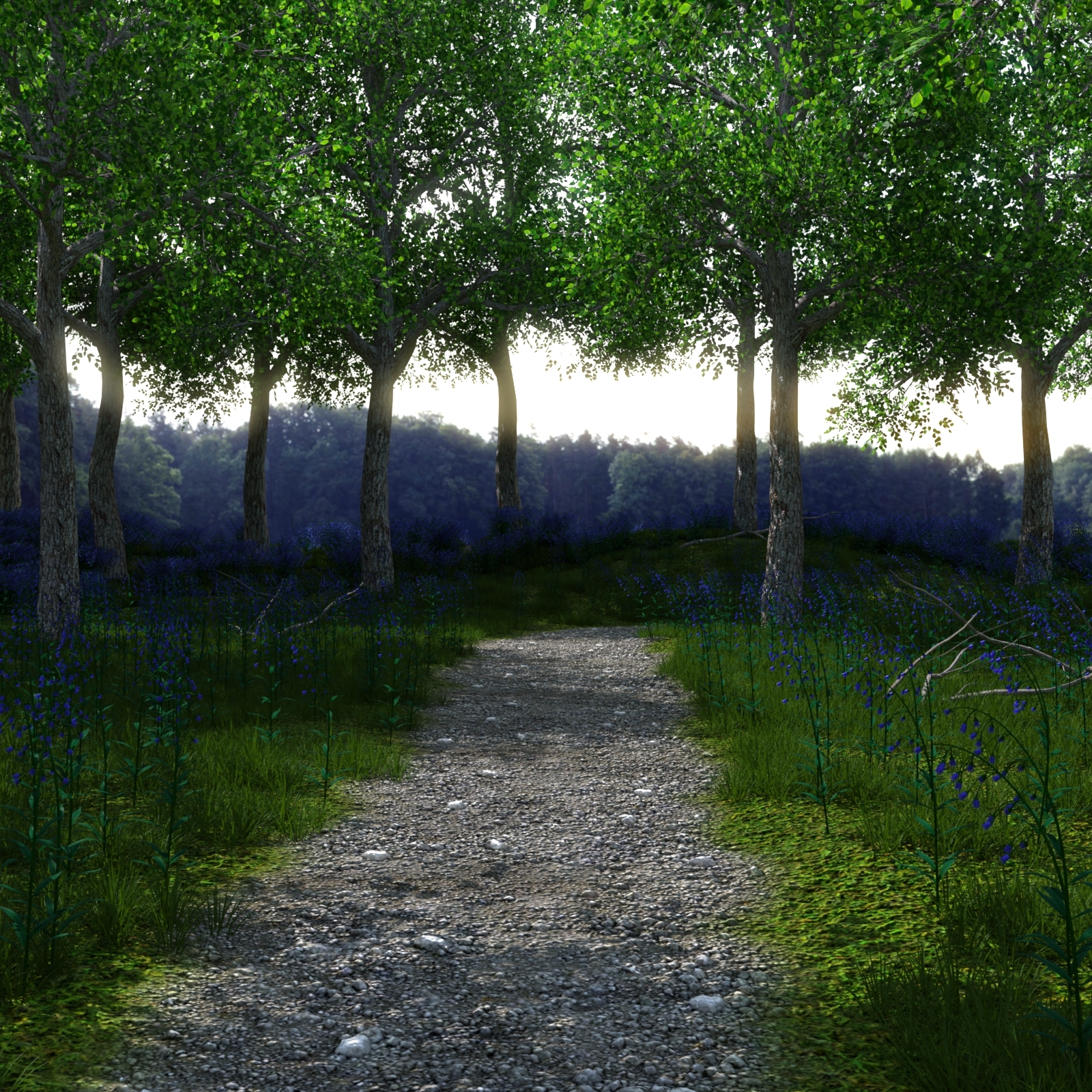 Path Through the Wood by N/A