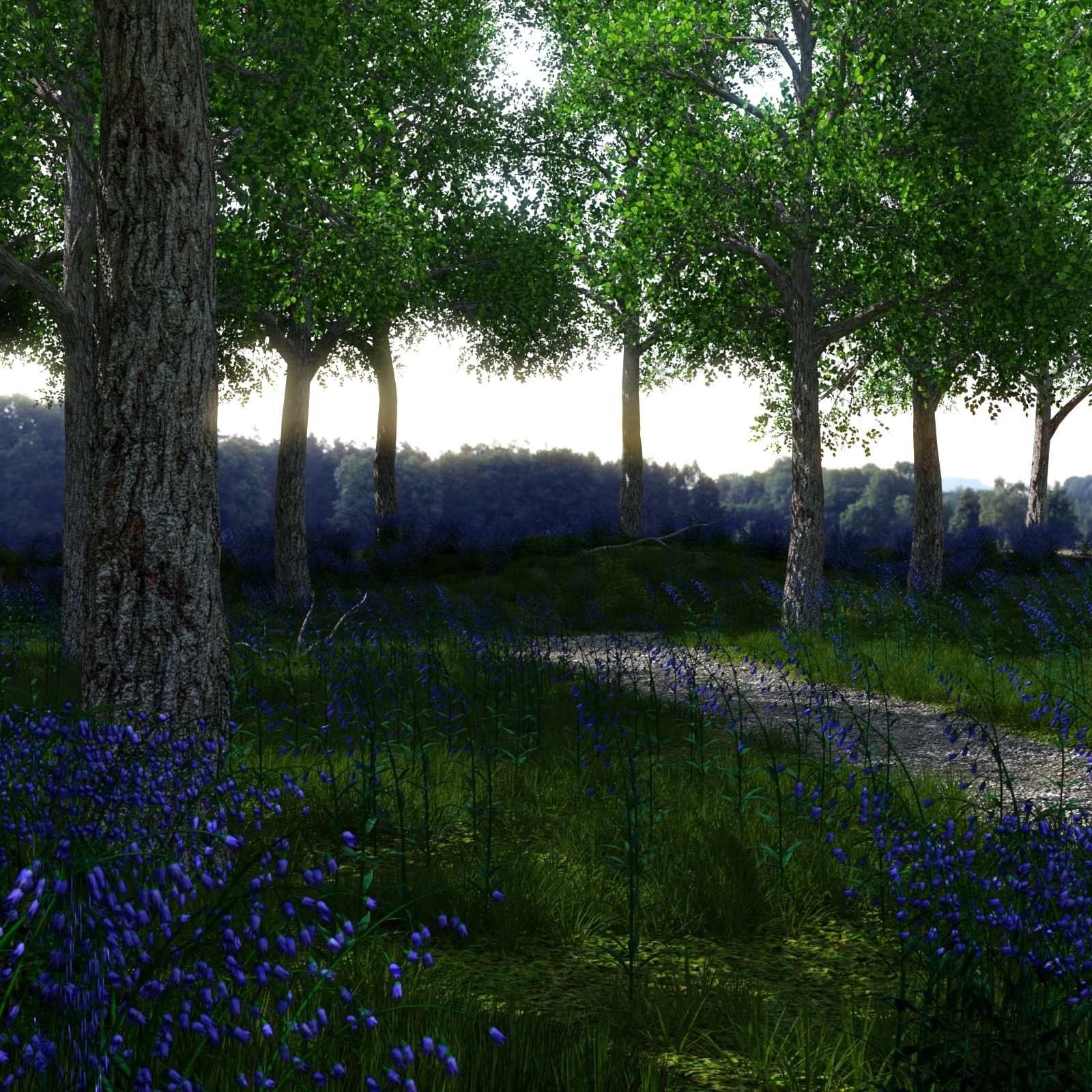 Path Through the Wood by N/A