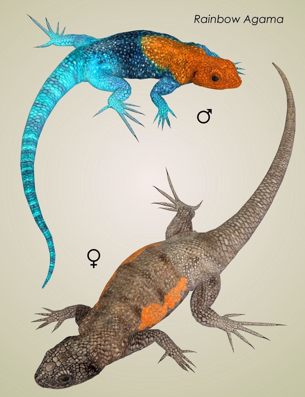 Nature's Wonders Lizards of the World Vol. 5 by N/A